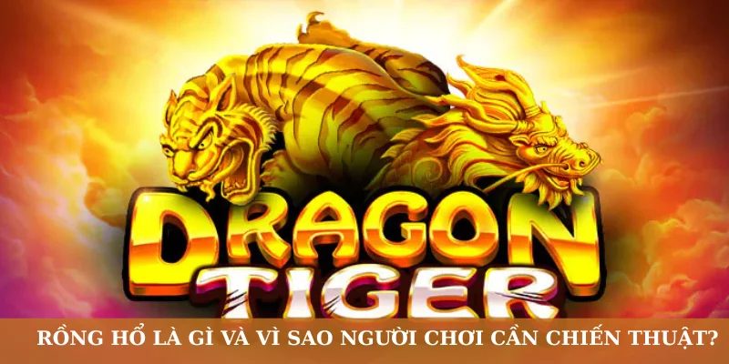 Rồng Hổ là gì và vì sao người chơi cần chiến thuật?